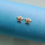 Simple star earring