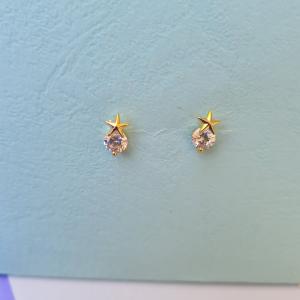 Anti-tarnish earring_14