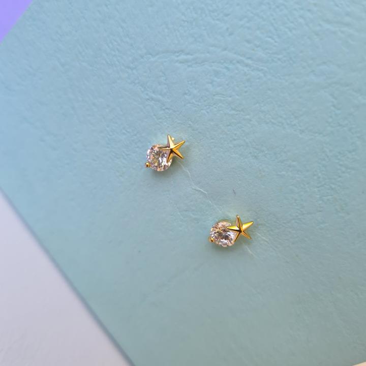 Anti-tarnish earring_14