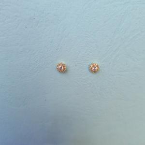 Anti-tarnish earring_23