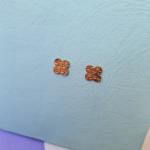 Anti-tarnish earring_25