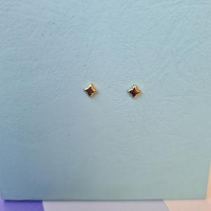 Anti-tarnish earring_31