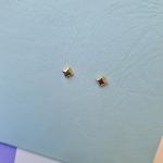 Anti-tarnish earring_31