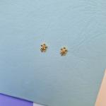 Anti-tarnish earring_32