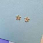 Anti-tarnish earring_40