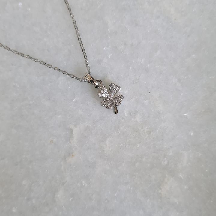 Anti-tarnish necklace_29