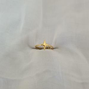 anti-tarnish ring_22