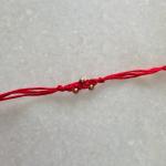 Minimal Red Rakhi